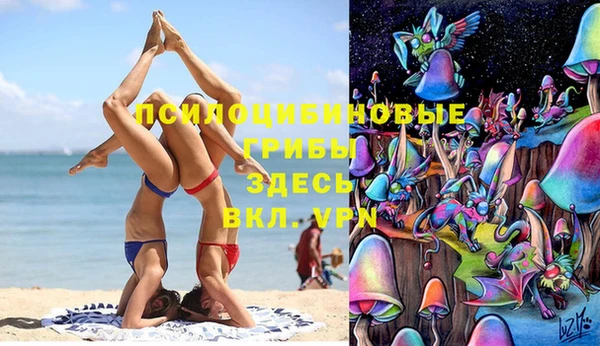 каннабис Аркадак