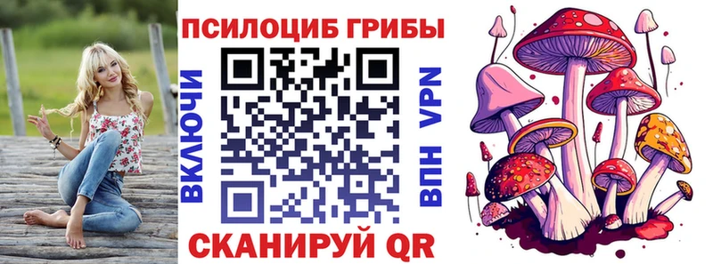 наркошоп  Светлый  Галлюциногенные грибы Cubensis 